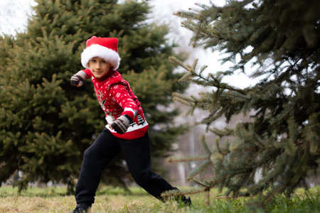 a cheerful boy in a red Christmas sweater with a reindeer and a Santa hat is in a park where Christmas trees grow, jumping out of one tree posing for the cameraの写真素材