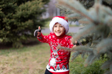 a cheerful boy in a red Christmas sweater with a reindeer and a Santa hat looks out of a Christmas tree in the parkの写真素材