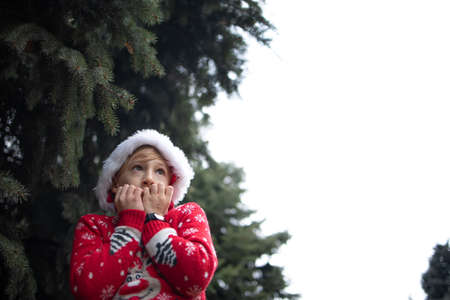 A boy in a red knitted Christmas sweater with a Christmas reindeer and a Santa Claus hat cringed from the cold against the winter skyの写真素材