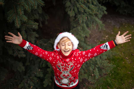A boy in a red knitted Christmas sweater with a Christmas reindeer and a Santa Claus hat spread his arms to the sides in the park near the Christmas treesの写真素材