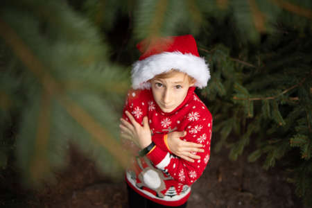 A boy in a red knitted Christmas sweater with a Christmas reindeer and a Santa Claus hat is standing under a Christmas tree holding his shoulders trying to keep warmの写真素材