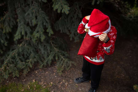 rummages in a bag with gifts against the background of Christmas treesの写真素材
