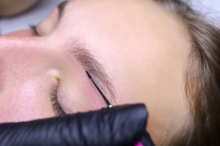 applying paint to the hair of the eyebrows after laminating the eyebrows with a thin brush