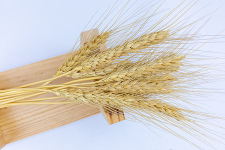 top view of the spikelets of wheat that lie on a wooden standの写真素材