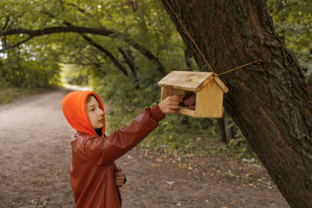 in the autumn in the park, a boy stands in front of a bird feeder and puts food for birds thereの写真素材