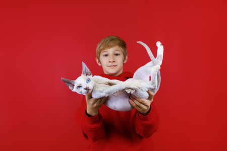 a funny boy in a red suit threw a white cat in front of him, which collapsed in his arms