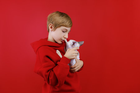 close-up of a boy in a red suit who holds a small kitten in his arms and hugs him and kisses himの写真素材