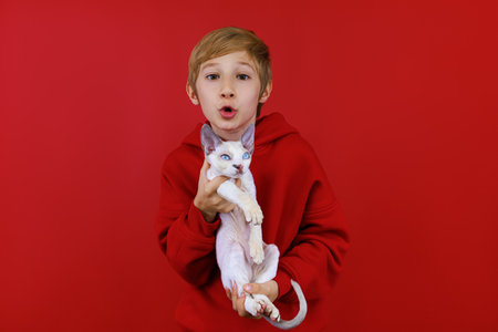a boy in a red suit holds a white kitten in front of him and playfully bites him to cheer him upの写真素材