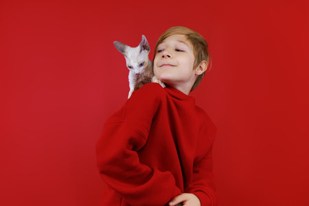 caring boy loves his kitten that climbs on his shouldersの写真素材