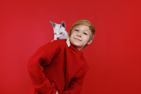 caring boy loves his kitten that climbs on his shouldersの写真素材