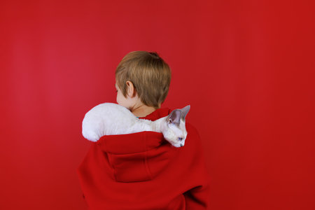 a boy in a red suit stands on a red background, a small white kitten sits on his shoulders