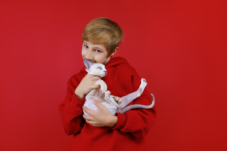 A cheerful boy in a red suit holds a white cat in his arms, he plays with himの写真素材