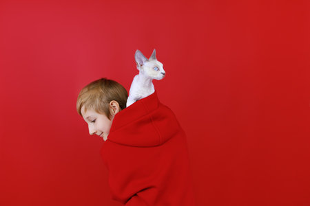 a white kitten climbed into the hood of a boy who stands on a red backgroundの写真素材