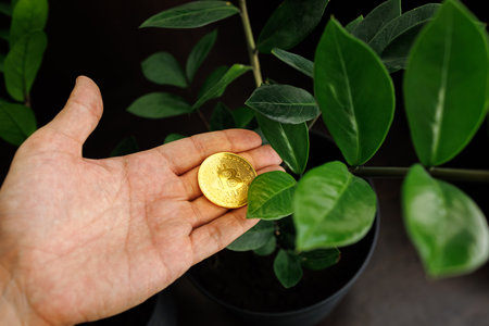 In the palm of the man's hand is a gold colored crypto coin Bitcoin which he is holding against a...