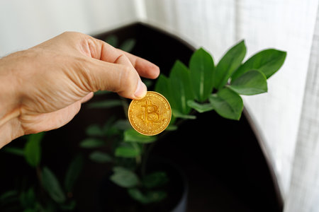 A man's hand holds a gold Bitcoin coin with his fingers against the background of a dollar tree...
