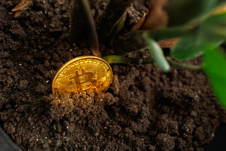A shiny gold-colored Bitcoin coin that is planted in the ground for its growth Dnipro, Ukraine - August 23, 2023のeditorial素材