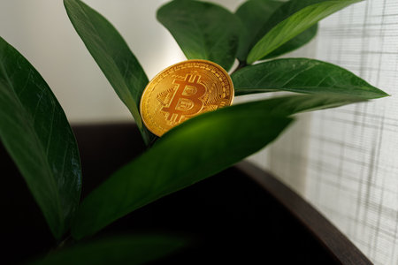 A gold-colored Bitcoin digital coin grew on the plants of the dollar tree instead of flowersDnipro, Ukraine - August 23, 2023のeditorial素材