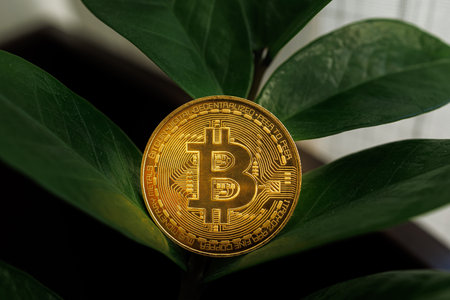 Bitcoin coin seems to sprout from the leaves of a dollar treeDnipro, Ukraine - August 23, 2023のeditorial素材