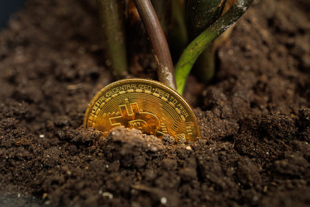 A gold-colored Bitcoin crypto coin sprouts from the soil, followed by shoots of leaves and stems Dnipro, Ukraine - August 23, 2023のeditorial素材