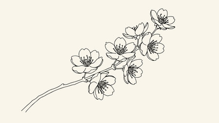 Sakura branch with flowers. Continuous line drawing. Vector illustration.のイラスト素材