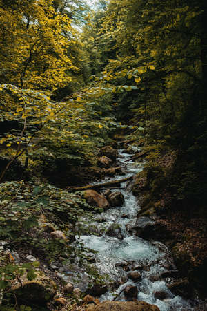 Cascade of the Chauderon Gorges, between Les Avants and Montreux (Switzerland)の写真素材