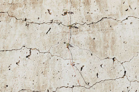 Cracks on stone wall