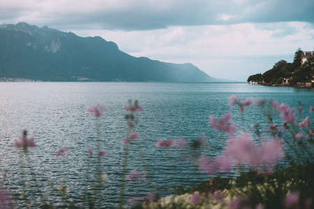 Flowers on the shore of Lake Genevaの写真素材