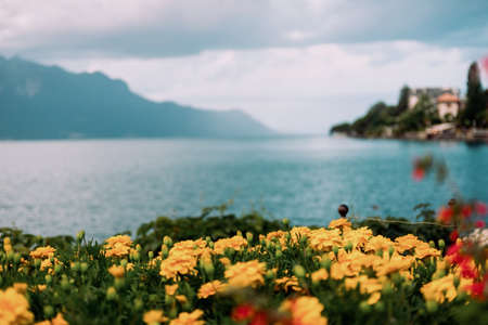 Flowers on the shore of Lake Genevaの写真素材