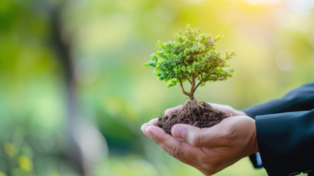 Environmental Responsibility in Business: Businessman Holding a Small Treeの素材