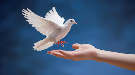 Peaceful White Dove Descending onto a Human Hand Against Blue Skyの素材
