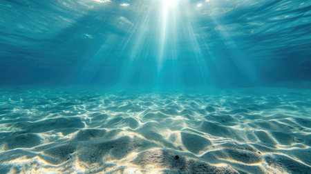 Serene Underwater View with Sea Turtleの素材