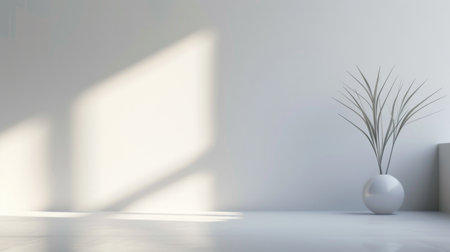 Minimalistic White Interior Design with Natural Light and Plant, Modern Home Decor Conceptの素材