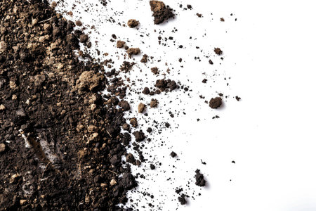 dirt spots earth on white backgroundの素材