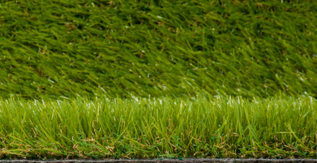 Green grass texture background with copy space for your text or image.の写真素材