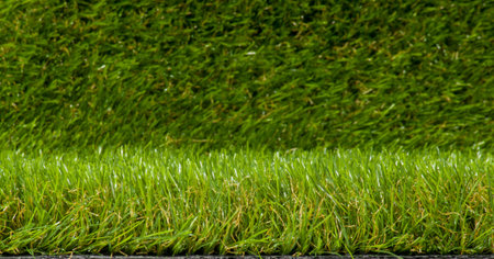 Green grass background texture. Green grass background. Green grass background.の写真素材