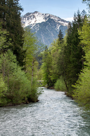 Mountain river in the spring forest.の写真素材