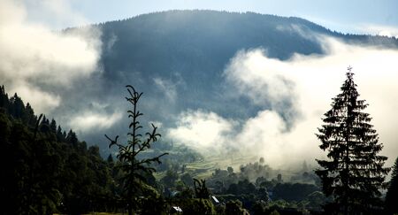 Morning in the Carpathiansの写真素材