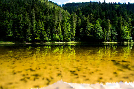 Lake Synevir in Carpathian mountains with clean waterの写真素材
