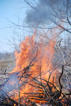 brightly burning bonfire of branchesの写真素材