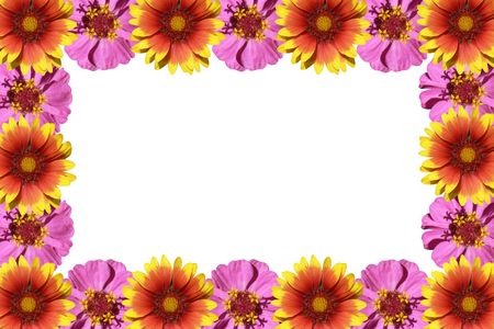 flowers frame isolated on a white backgroundの写真素材