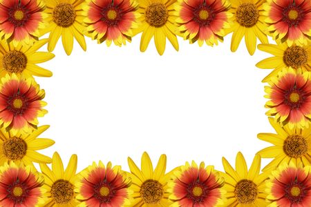 flowers frame isolated on a white backgroundの写真素材