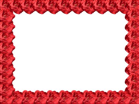 red flowers frame isolated on a white backgroundの写真素材