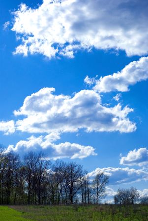 beautiful landscape with sky, clouds, grass and treesの写真素材