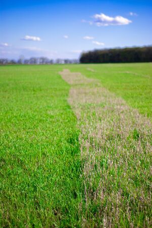 beautiful landscape with sky, clouds and grassの写真素材