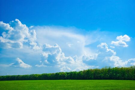 beautifull landscape with sky, clouds and meadow