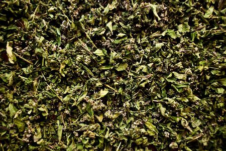 background of dried leaves and flowersの写真素材