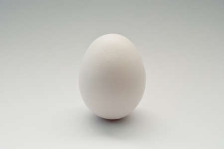 single egg on a grey background