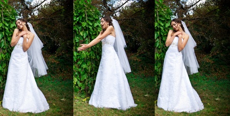 bride set in a green gardenの写真素材