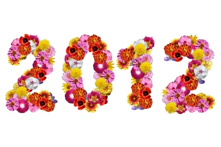 number 2012 of flowers isolated on a white background