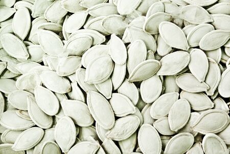 background made of white seedsの写真素材